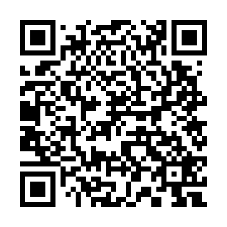 QR code for 307-729