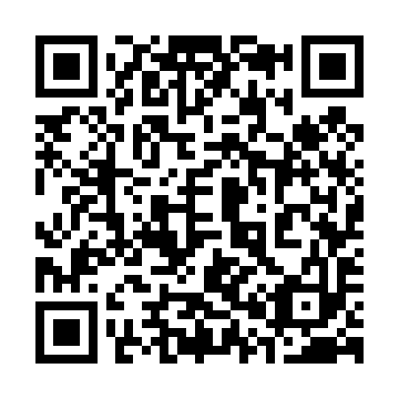 QR code for plate 307-493