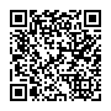 QR code for 307738