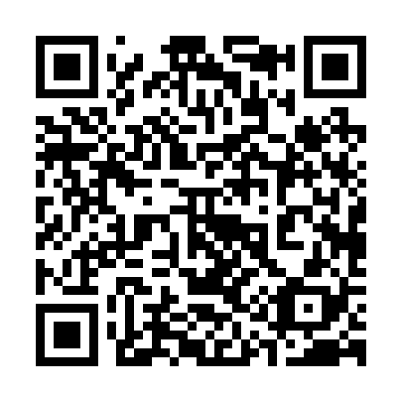 QR code for plate 310-228