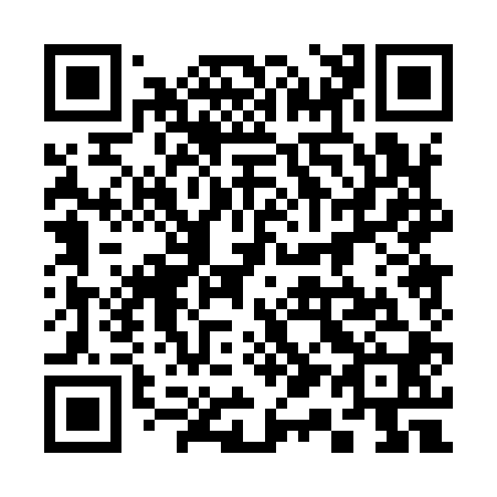 QR code for plate 310-900