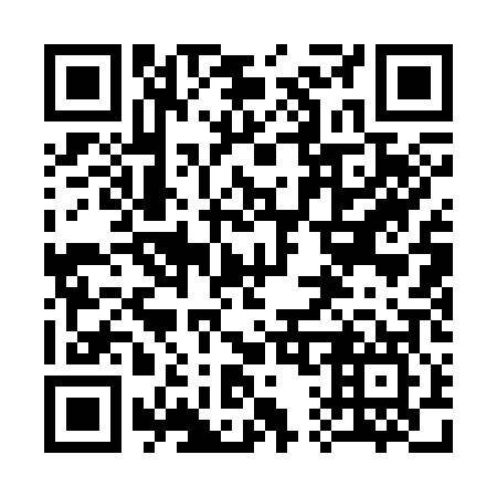 QR code for plate 311-307