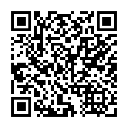 QR code for plate 311-919