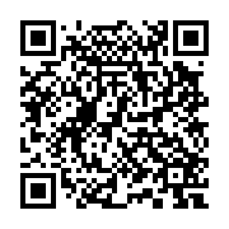 QR code for 313-006