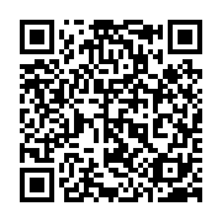 QR code for 313-271