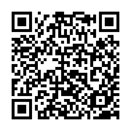 QR code for 313-285
