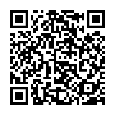 QR code for 313-538