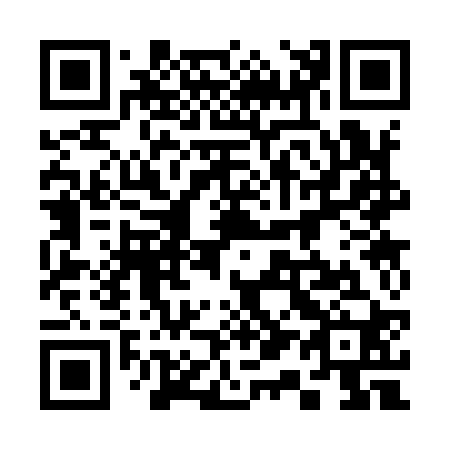 QR code for 313-920