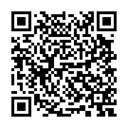 QR code for plate 313-051