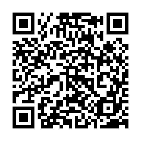 QR code for 313172