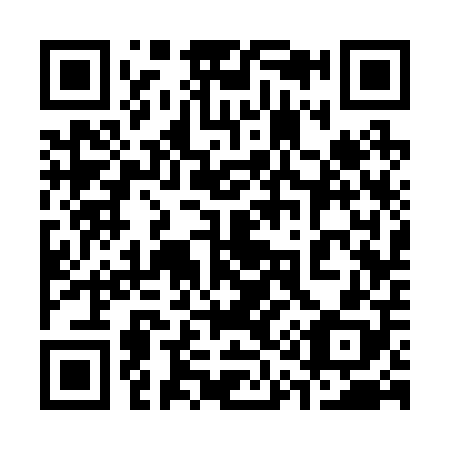 QR code for 313208