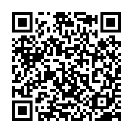 QR code for 313251