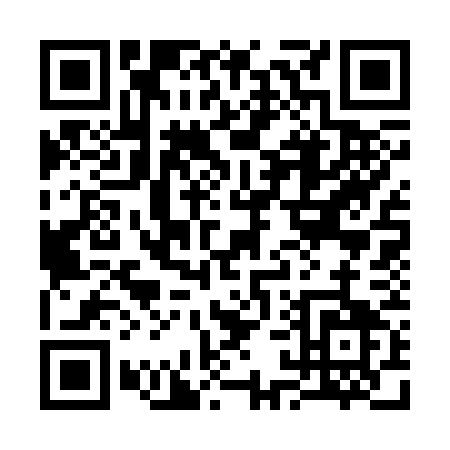 QR code for 31337
