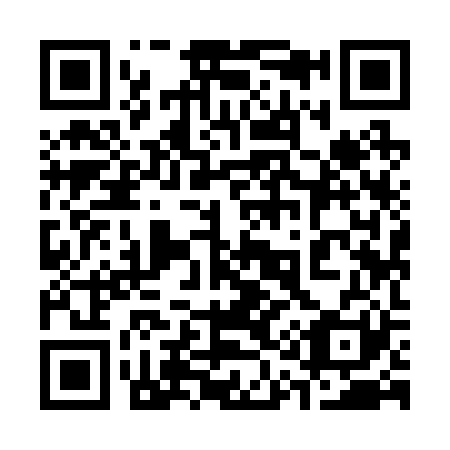 QR code for 319-221