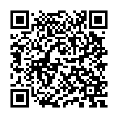 QR code for plate 319-063