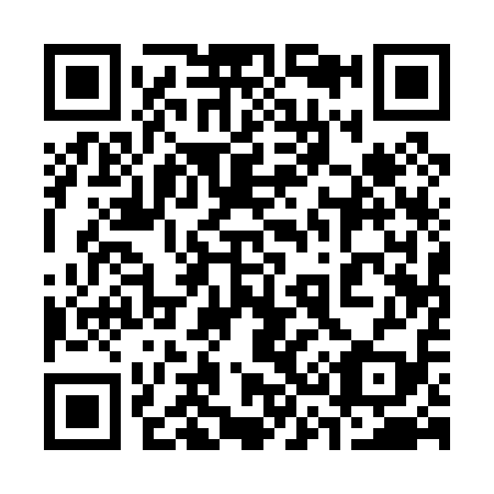QR code for plate 331-019