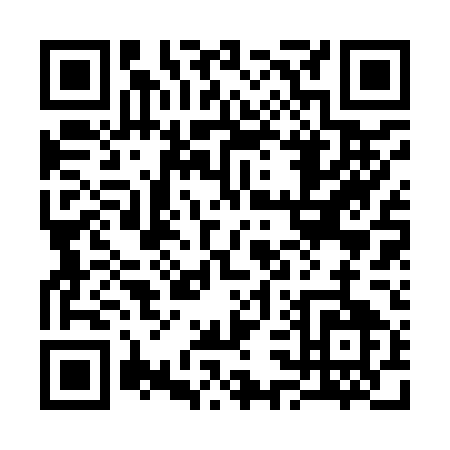 QR code for 33295