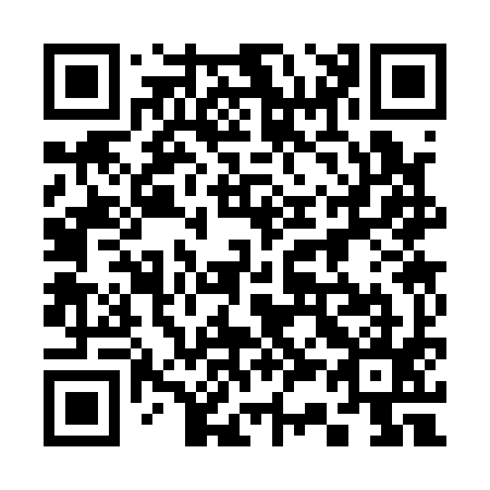 QR code for plate 333-195