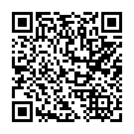 QR code for plate 333-611
