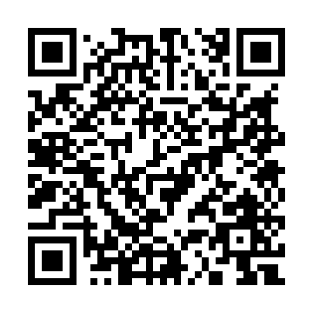 QR code for 33385