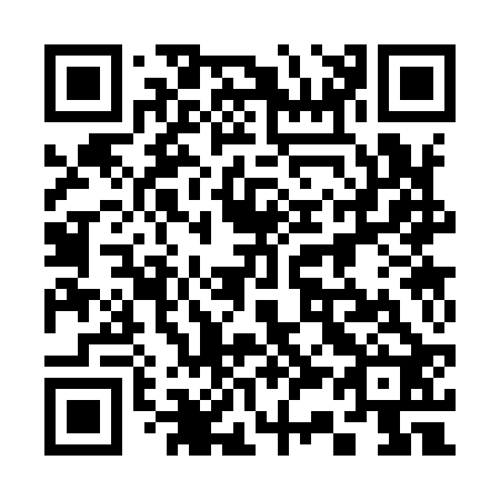 QR code for plate 333-922