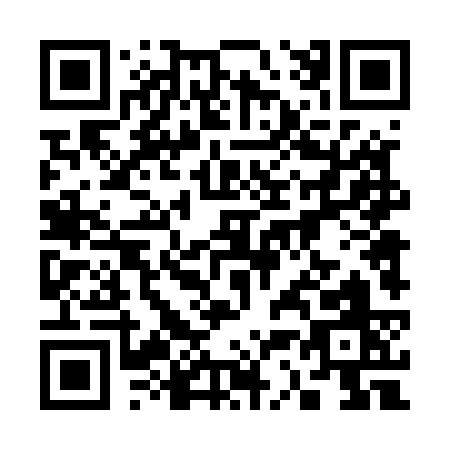 QR code for 33453