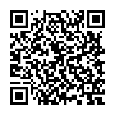 QR code for plate 334-915