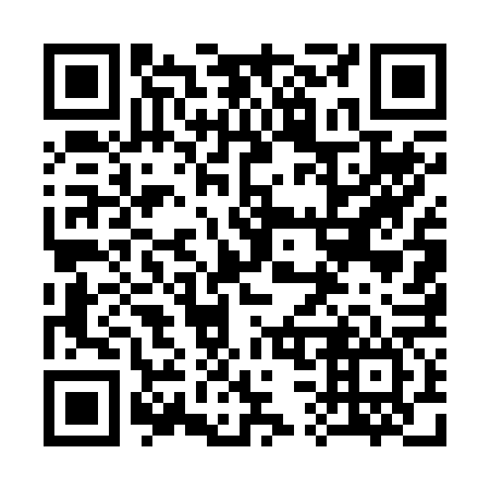 QR code for 335-266