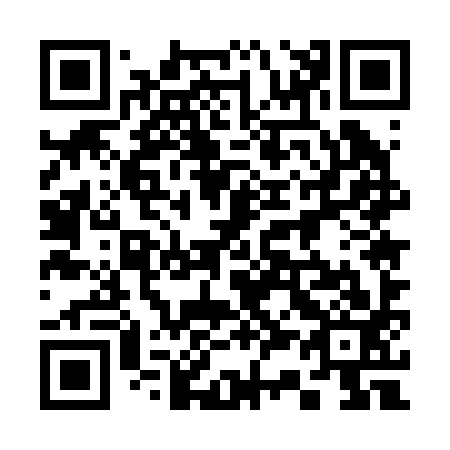QR code for plate 335-293