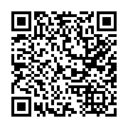 QR code for 335313
