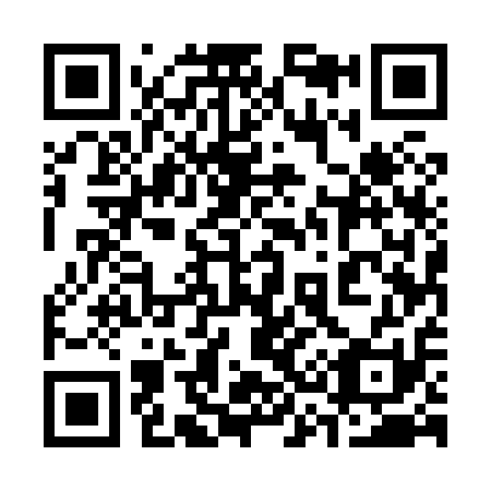 QR code for 335811