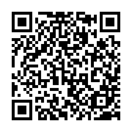 QR code for plate 336-382