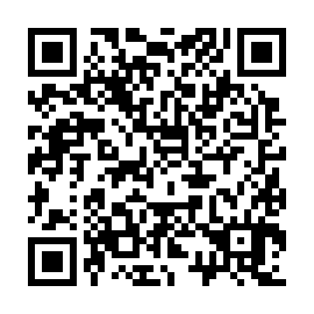 QR code for plate 336-384
