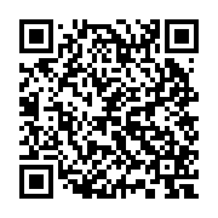 QR code for plate 337-205