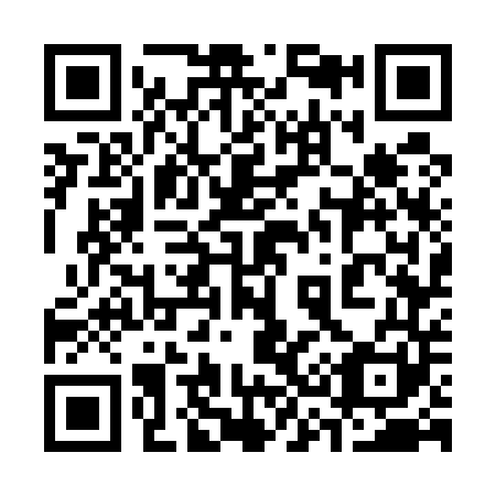 QR code for plate 337-541