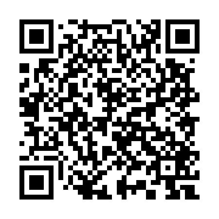 QR code for plate 338-549