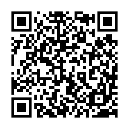 QR code for plate 338-697
