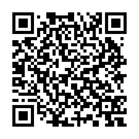 QR code for 339-234
