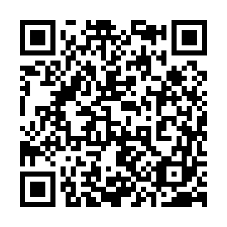 QR code for 339163