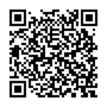 QR code for plate 340-384