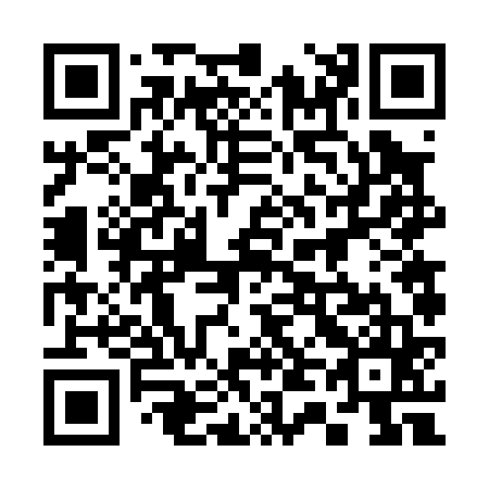 QR code for plate 346-065
