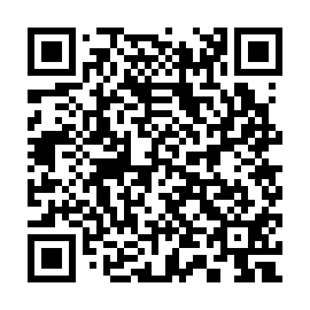 QR code for plate 347-311