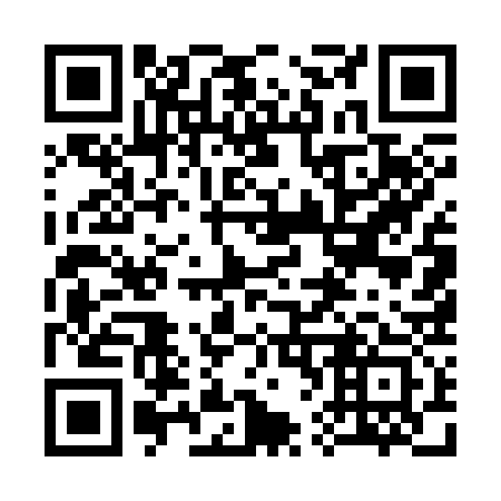 QR code for 365333