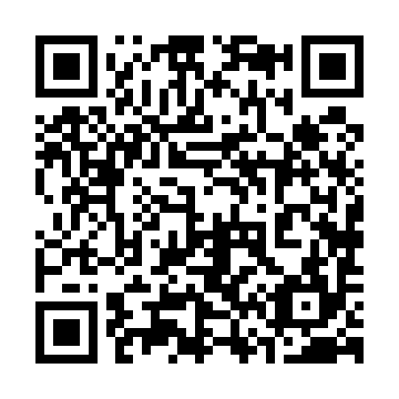 QR code for 368-594