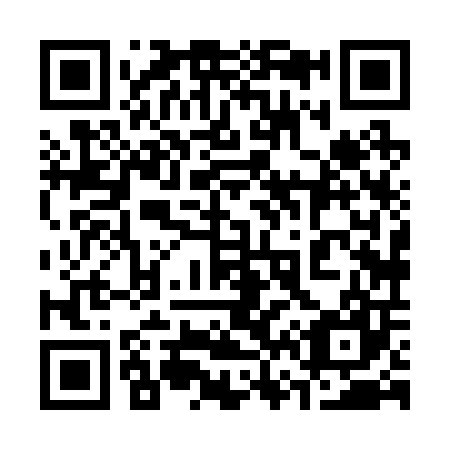 QR code for plate 368-207