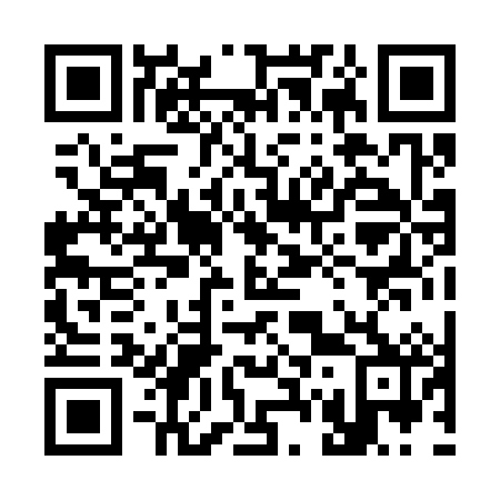 QR code for plate 370-382