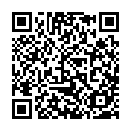 QR code for plate 370-385