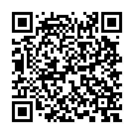QR code for plate 375-063
