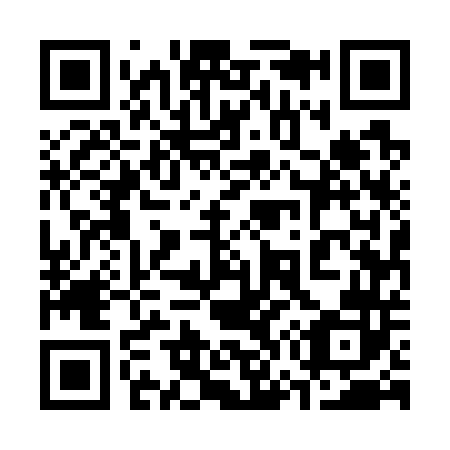 QR code for 375742