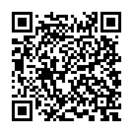 QR code for 376502